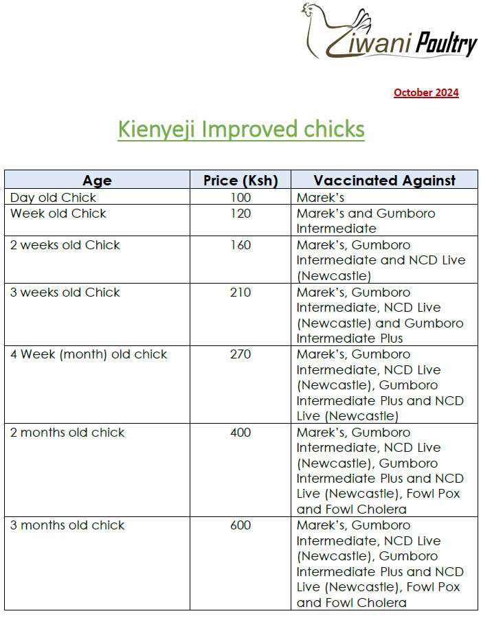 Improved Kienyeji Chicks Prices